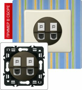 Розетка двойная компьютерная (Графит) ― Legrand-220.ru