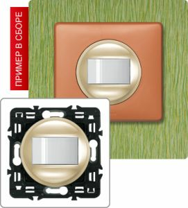 Датчик движения с нейтралью 1000Вт (Сл. кость) ― Legrand-220.ru