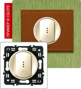 Выключатель с выдержкой времени без нейтрали 1000Вт (Сл. кость) ― Legrand-220.ru