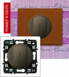 Выключатель с выдержкой времени без нейтрали 1000Вт (Графит) ― Legrand-220.ru