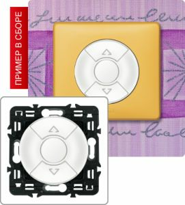 Выключатель для управления приводами 6А (Белый) ― Legrand-220.ru