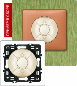 Выключатель для управления приводами 6А (Сл. кость) ― Legrand-220.ru