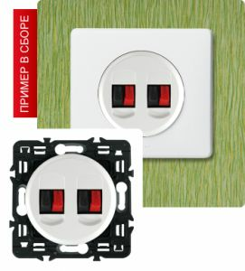 Акустическая розетка двойная (Белый) ― Legrand-220.ru
