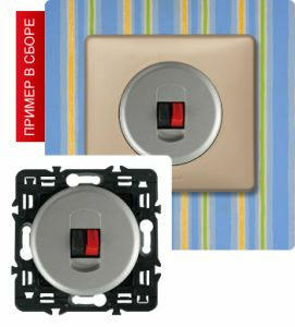 Акустическая розетка простая (Титан) ― Legrand-220.ru