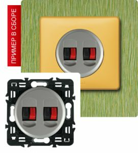 Акустическая розетка двойная (Титан) ― Legrand-220.ru