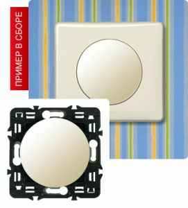 Заглушка (Сл. кость) ― Legrand-220.ru