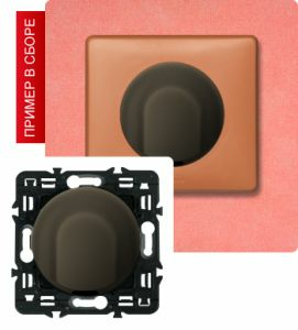 Вывод кабеля (Графит) ― Legrand-220.ru