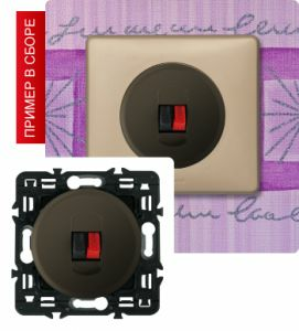 Акустическая розетка простая (Графит) ― Legrand-220.ru