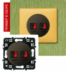 Акустическая розетка двойная (Графит) ― Legrand-220.ru
