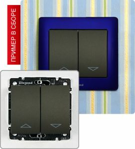 Выключатель для управления приводами двойной 10А ― Legrand-220.ru