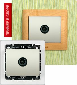 Розетка TV простая ― Legrand-220.ru