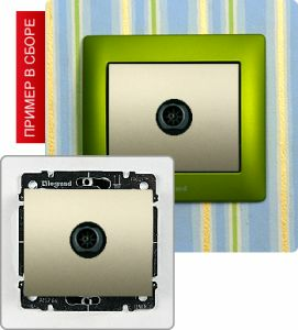 Розетка TV простая ― Legrand-220.ru