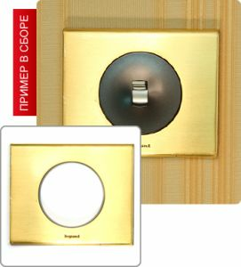 Рамка однопостовая (Золото) ― Legrand-220.ru