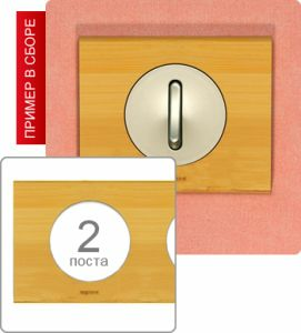 Рамка двухпостовая (Бамбук) ― Legrand-220.ru