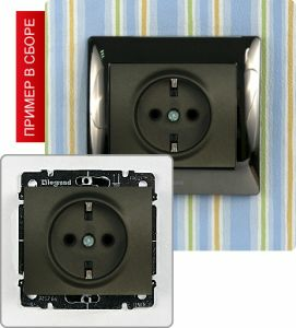 Розетка с заземлением, 16А ― Legrand-220.ru