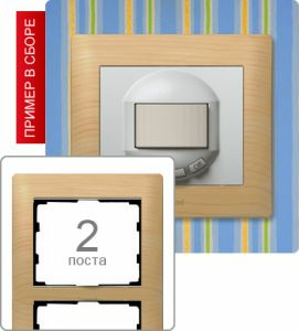 771966 Рамка двухпостовая ― Legrand-220.ru