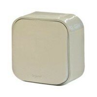 Выключатель 1-клавишный 10А Legrand Quteo (Сл.Кость) 782230